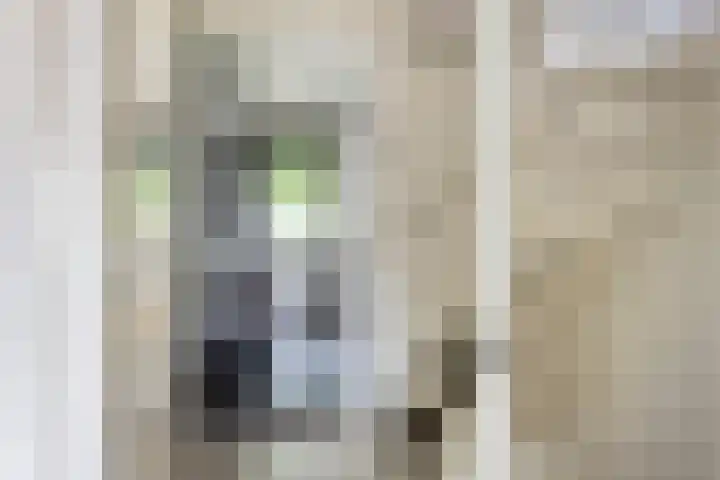 Tuinboog 20 Barneveld thumbnail 12