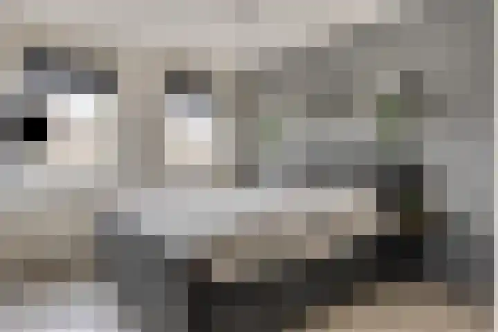 Tuinboog 20 Barneveld thumbnail 13