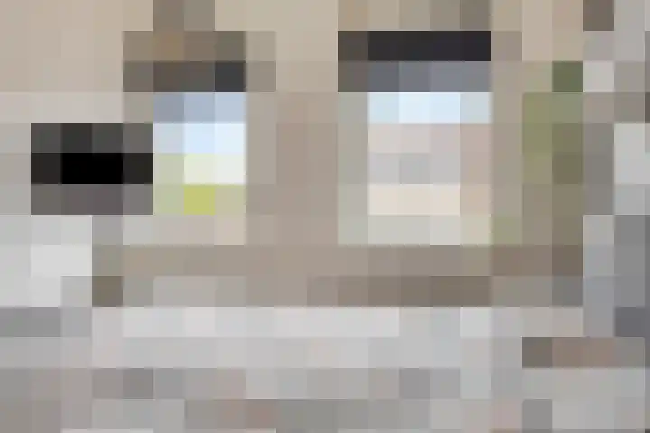 Tuinboog 20 Barneveld thumbnail 14