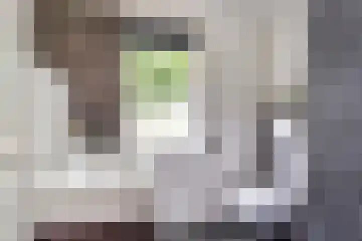 Tuinboog 20 Barneveld thumbnail 20