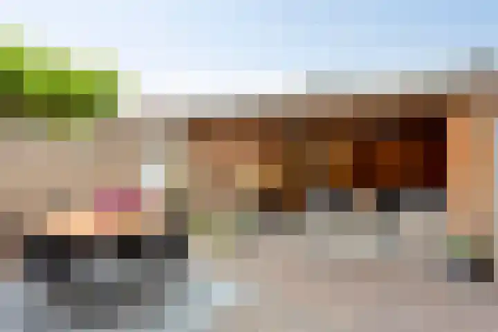 Tuinboog 20 Barneveld thumbnail 24