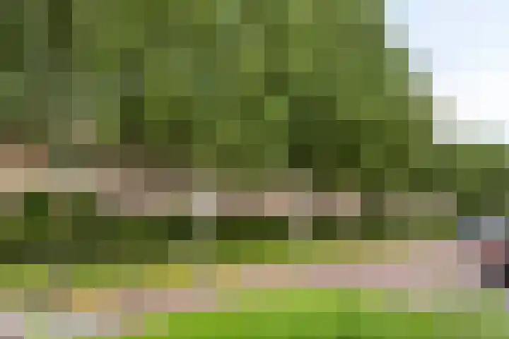 Tuinboog 20 Barneveld thumbnail 28