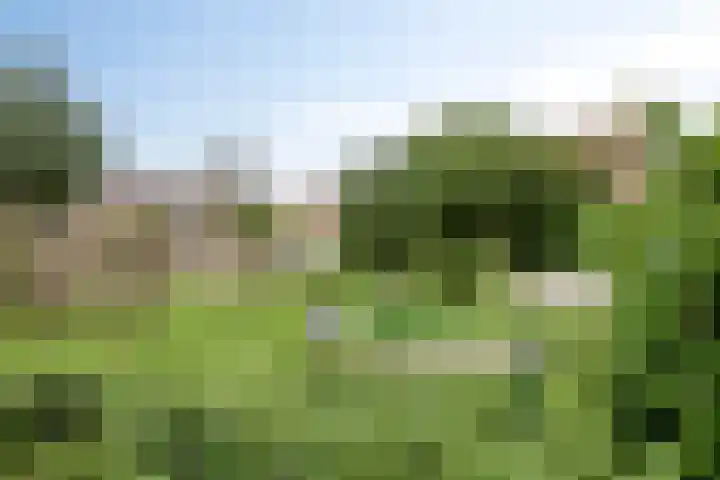 Tuinboog 20 Barneveld thumbnail 30