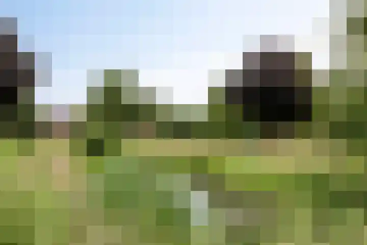 Tuinboog 20 Barneveld thumbnail 31