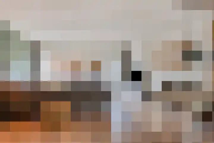 Tuinboog 20 Barneveld thumbnail 5