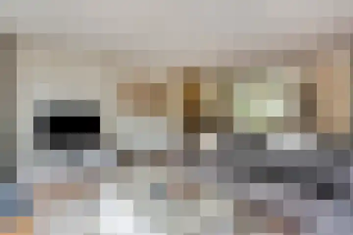 Tuinboog 20 Barneveld thumbnail 7