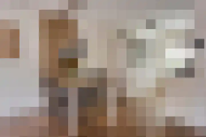 Tuinboog 20 Barneveld thumbnail 9