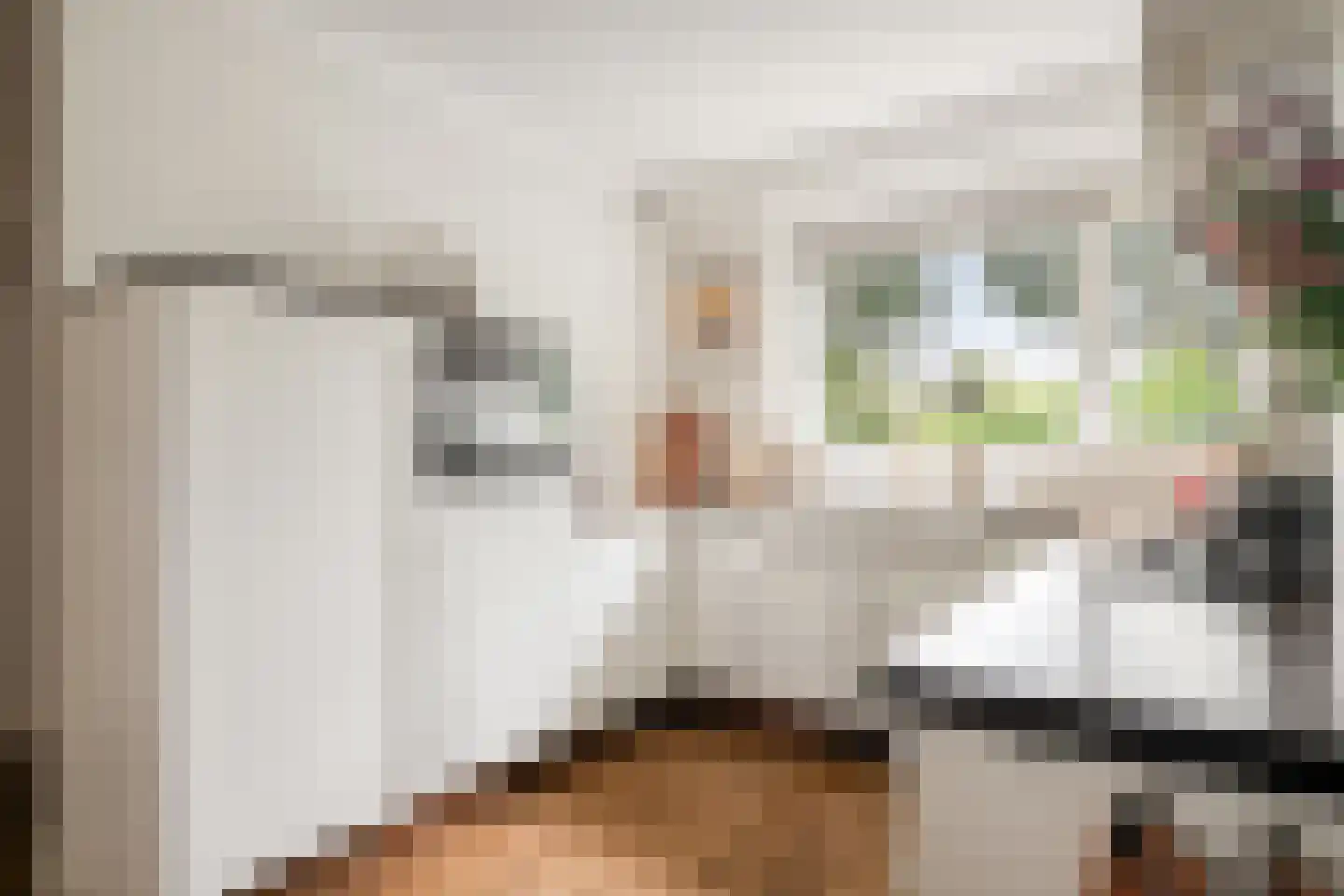 Tuinboog 6 Barneveld thumbnail 11