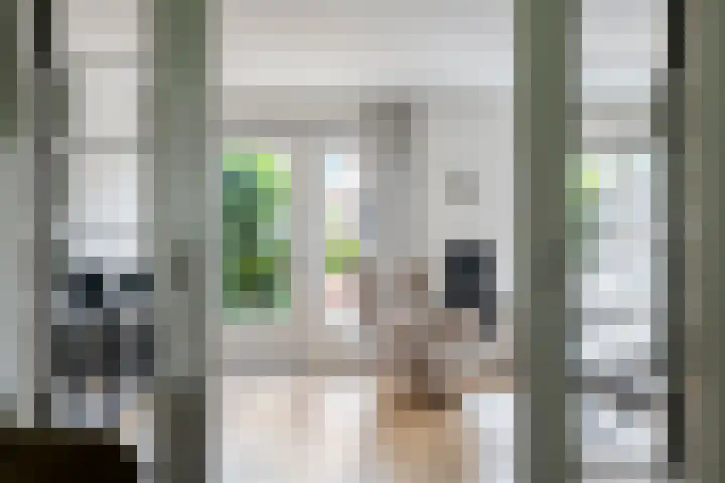 Tuinboog 6 Barneveld thumbnail 15