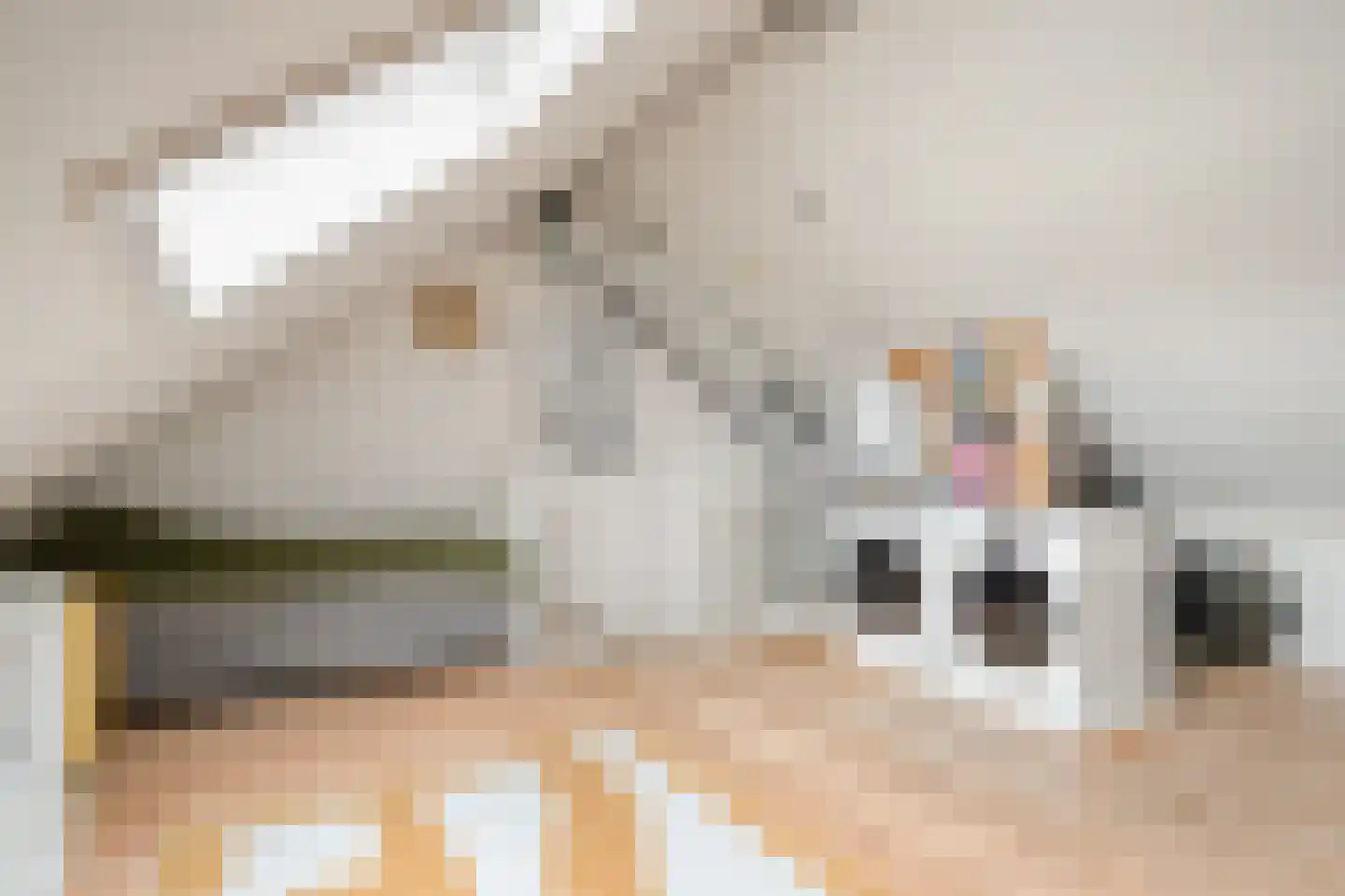 Tuinboog 6 Barneveld thumbnail 23