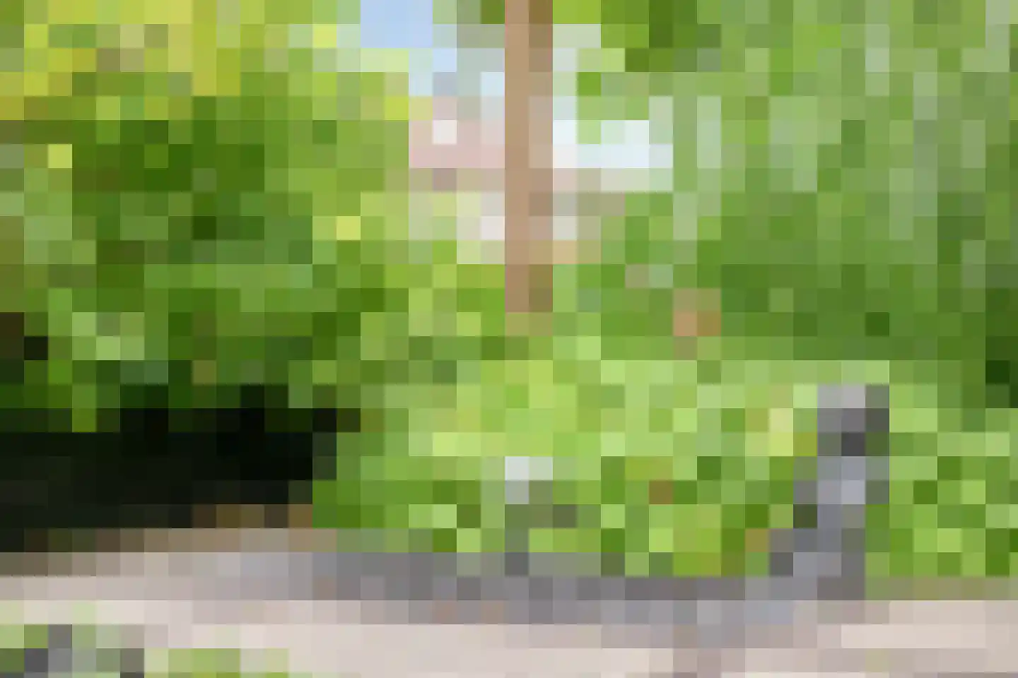 Tuinboog 6 Barneveld thumbnail 4