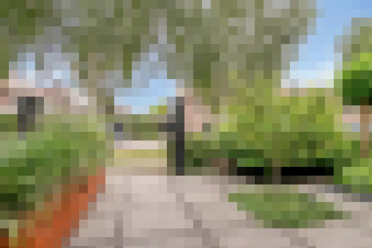 Tuinboog 6 Barneveld thumbnail 5