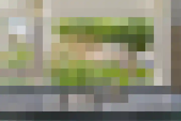 Tuinboog 8 Barneveld thumbnail 12