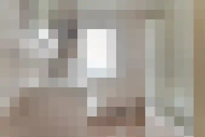Tuinboog 8 Barneveld thumbnail 20