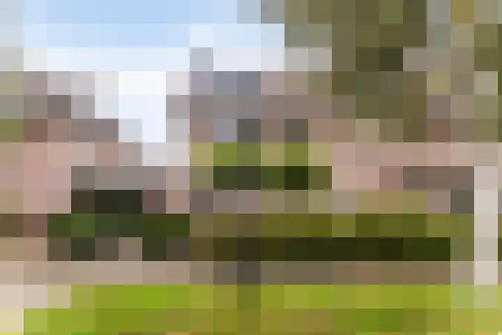 Tuinboog 8 Barneveld thumbnail 28