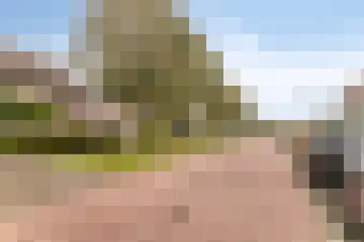 Tuinboog 8 Barneveld thumbnail 29