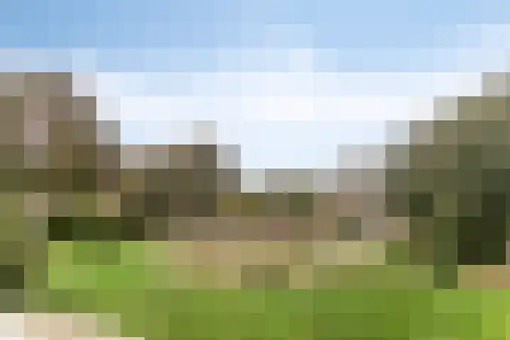 Tuinboog 8 Barneveld thumbnail 30