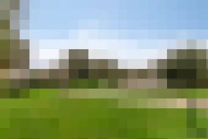 Tuinboog 8 Barneveld thumbnail 32