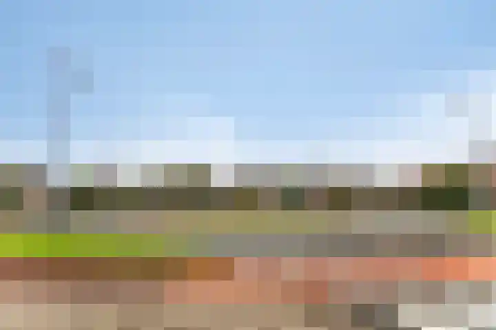 Tuinboog 8 Barneveld thumbnail 33