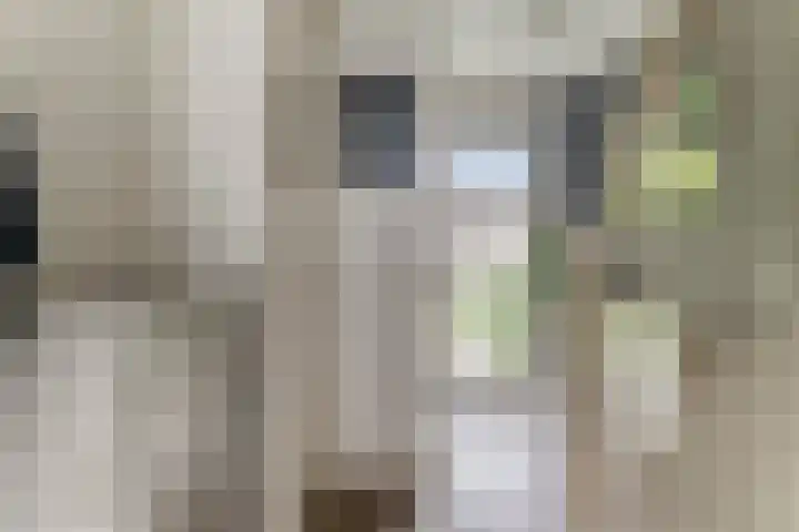 Tuinboog 8 Barneveld thumbnail 4