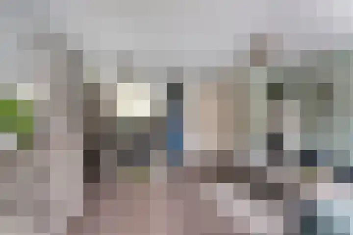 Tuinboog 8 Barneveld thumbnail 7