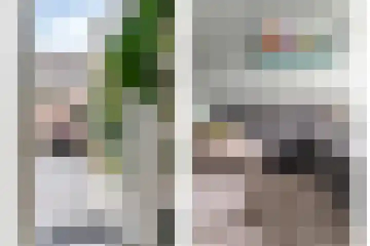 Tuinboog 8 Barneveld thumbnail 8