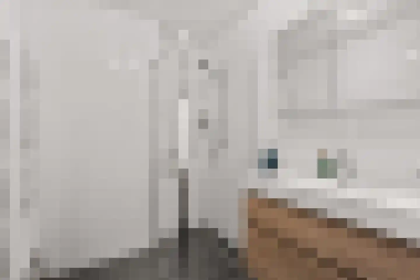 Tuinbouw 101 Houten thumbnail 24