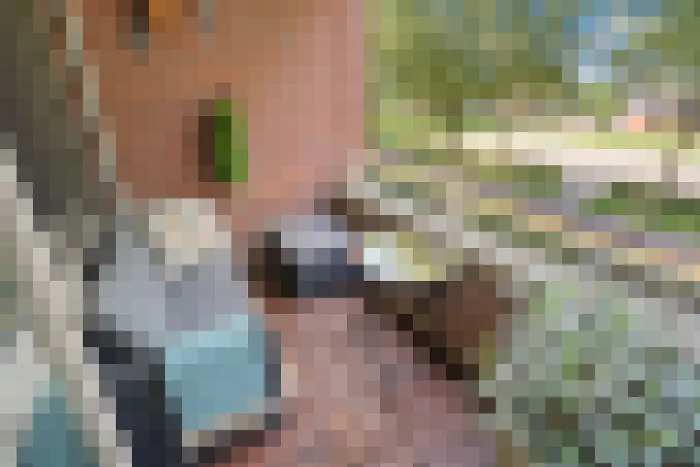 Tuinbouw 101 Houten thumbnail 8