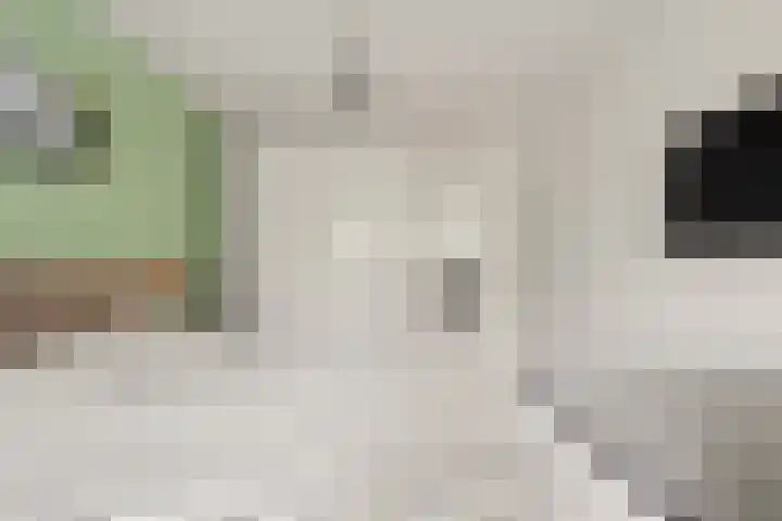 Tuinbouw 123 Houten thumbnail 11