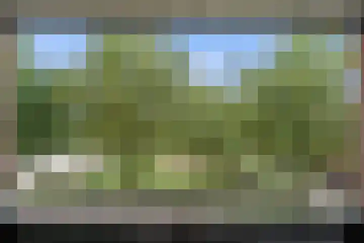 Tuinbouw 123 Houten thumbnail 14