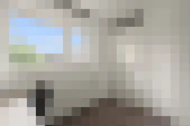 Tuinbouw 123 Houten thumbnail 19