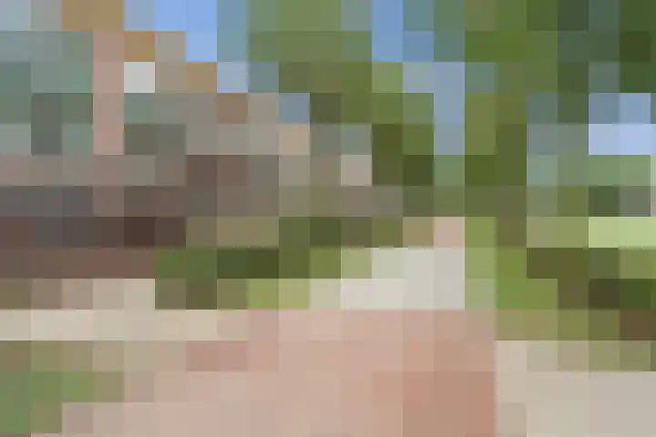 Tuinbouw 123 Houten thumbnail 26
