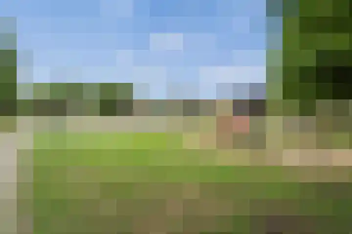Tuinbouw 123 Houten thumbnail 27