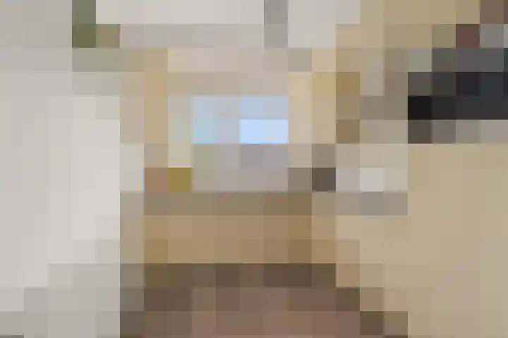 Tuinbouw 123 Houten thumbnail 7