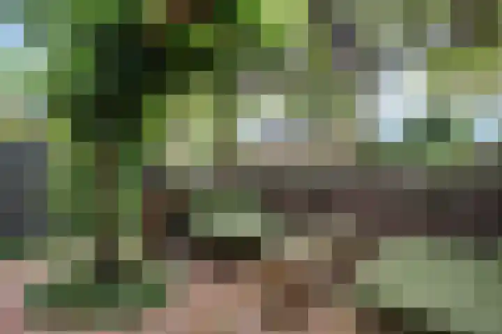 Tuinbouw 49 Houten thumbnail 10