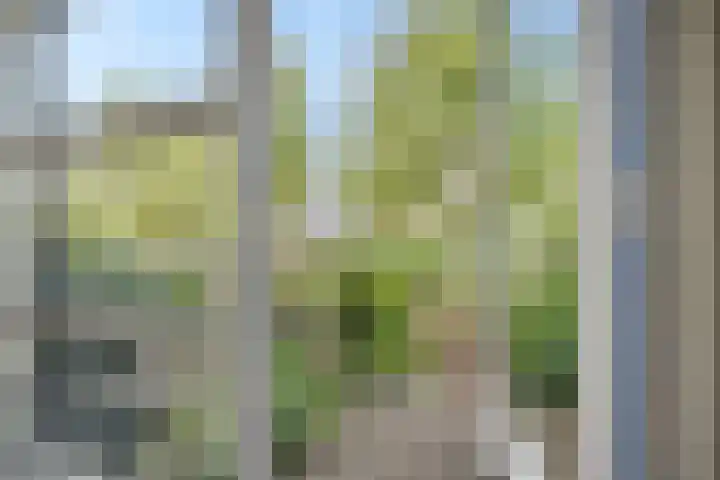 Tuinbouw 49 Houten thumbnail 13