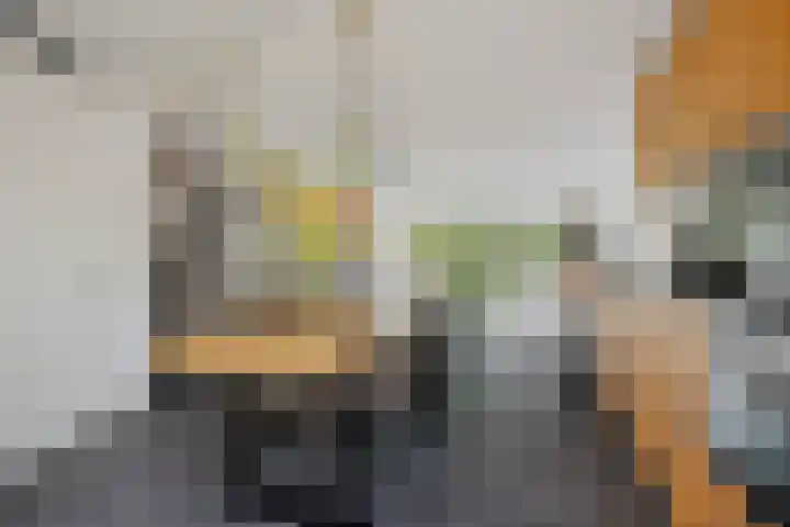 Tuinbouw 49 Houten thumbnail 16