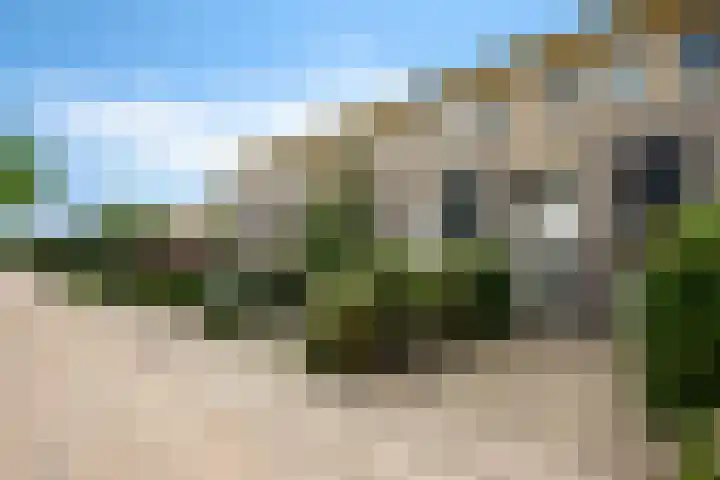 Tuinbouw 49 Houten thumbnail 30