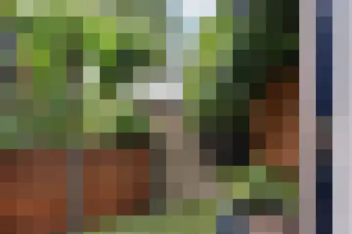 Tuinbouw 49 Houten thumbnail 6