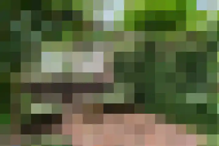 Tuinbouw 49 Houten thumbnail 9