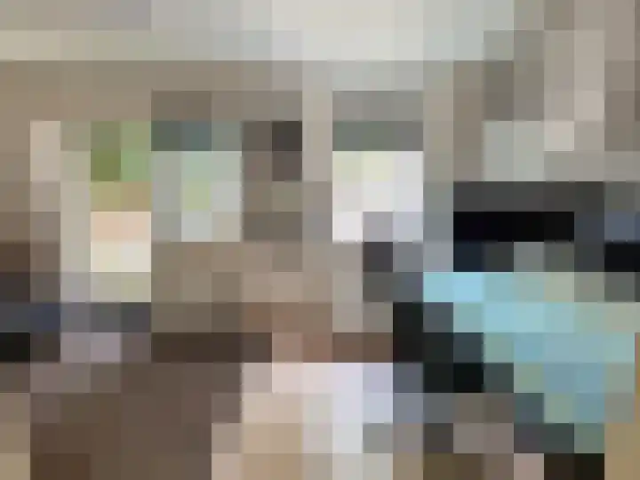 Tuinbouw 73 Houten thumbnail 11