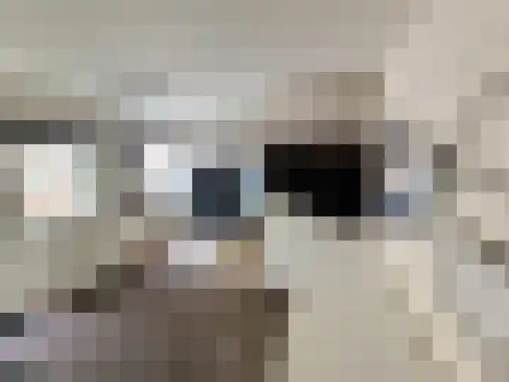 Tuinbouw 73 Houten thumbnail 12