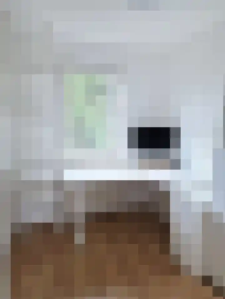 Tuinbouw 73 Houten thumbnail 30