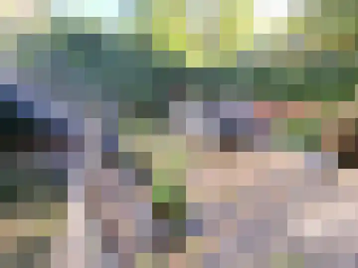 Tuinbouw 73 Houten thumbnail 45