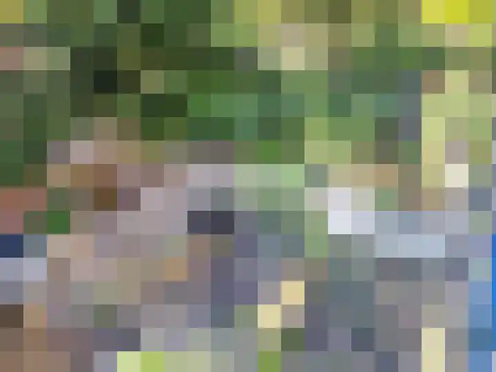 Tuinbouw 73 Houten thumbnail 48