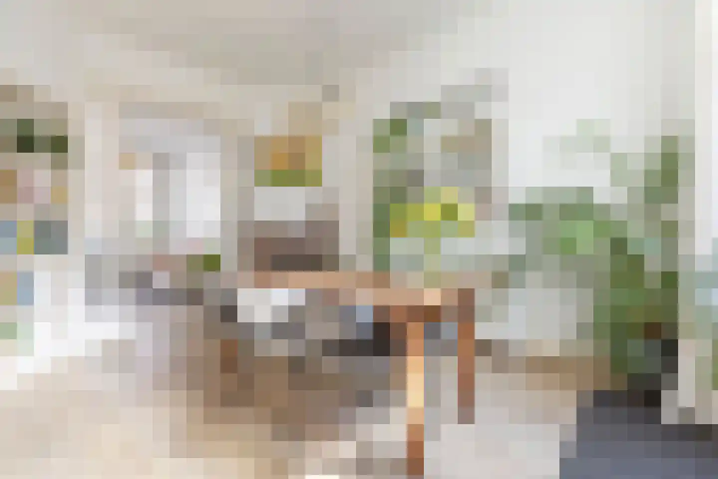 Tuinbouwdwarsstraat 10 Groningen thumbnail 15