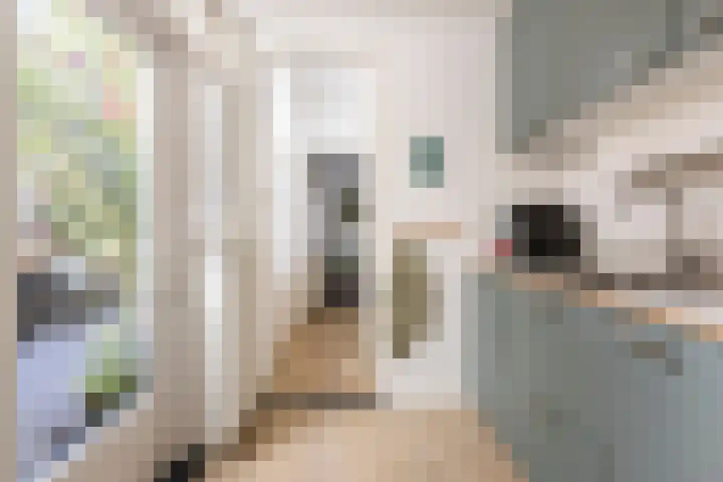 Tuinbouwdwarsstraat 10 Groningen thumbnail 22