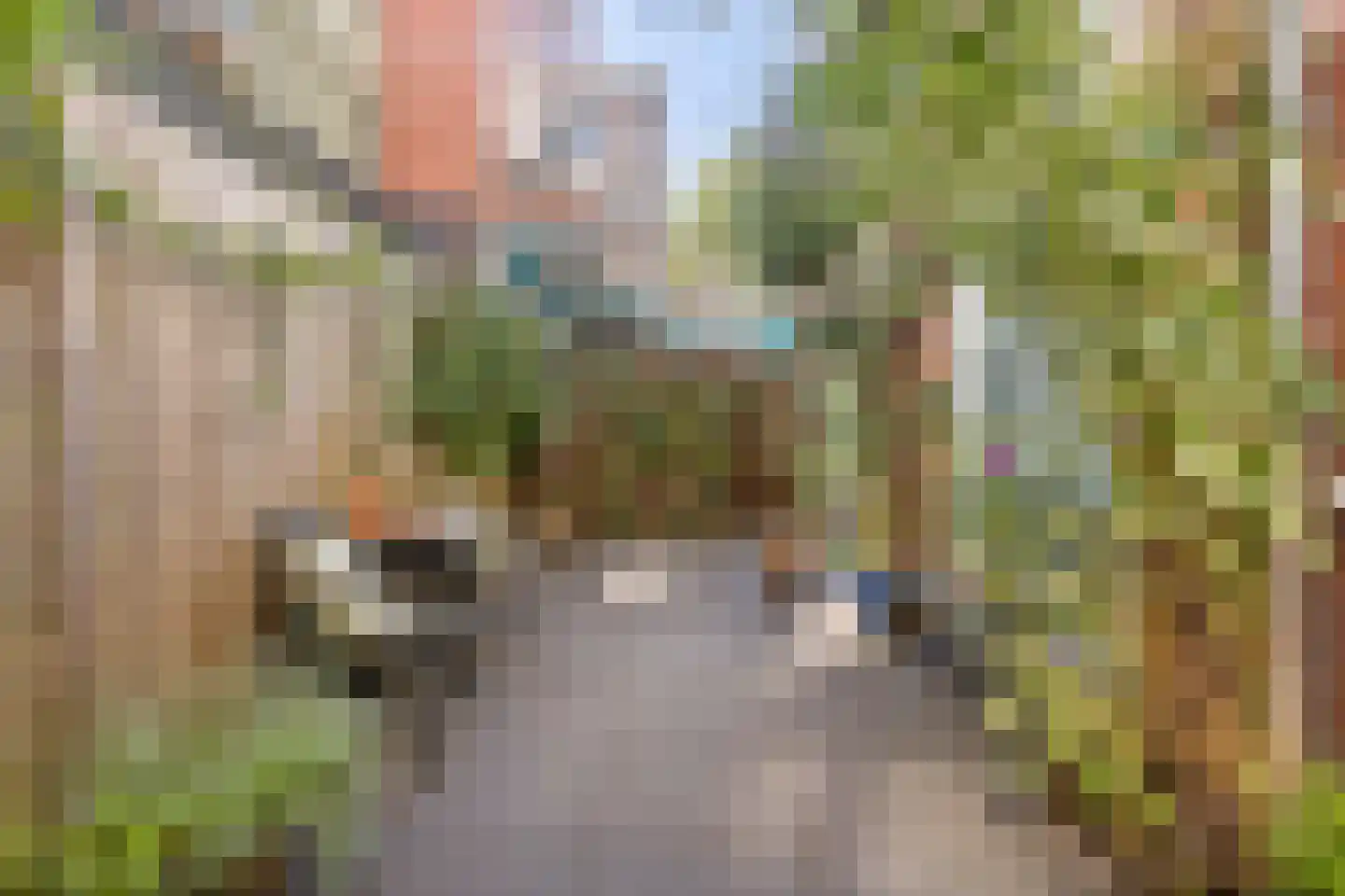 Tuinbouwdwarsstraat 10 Groningen thumbnail 28