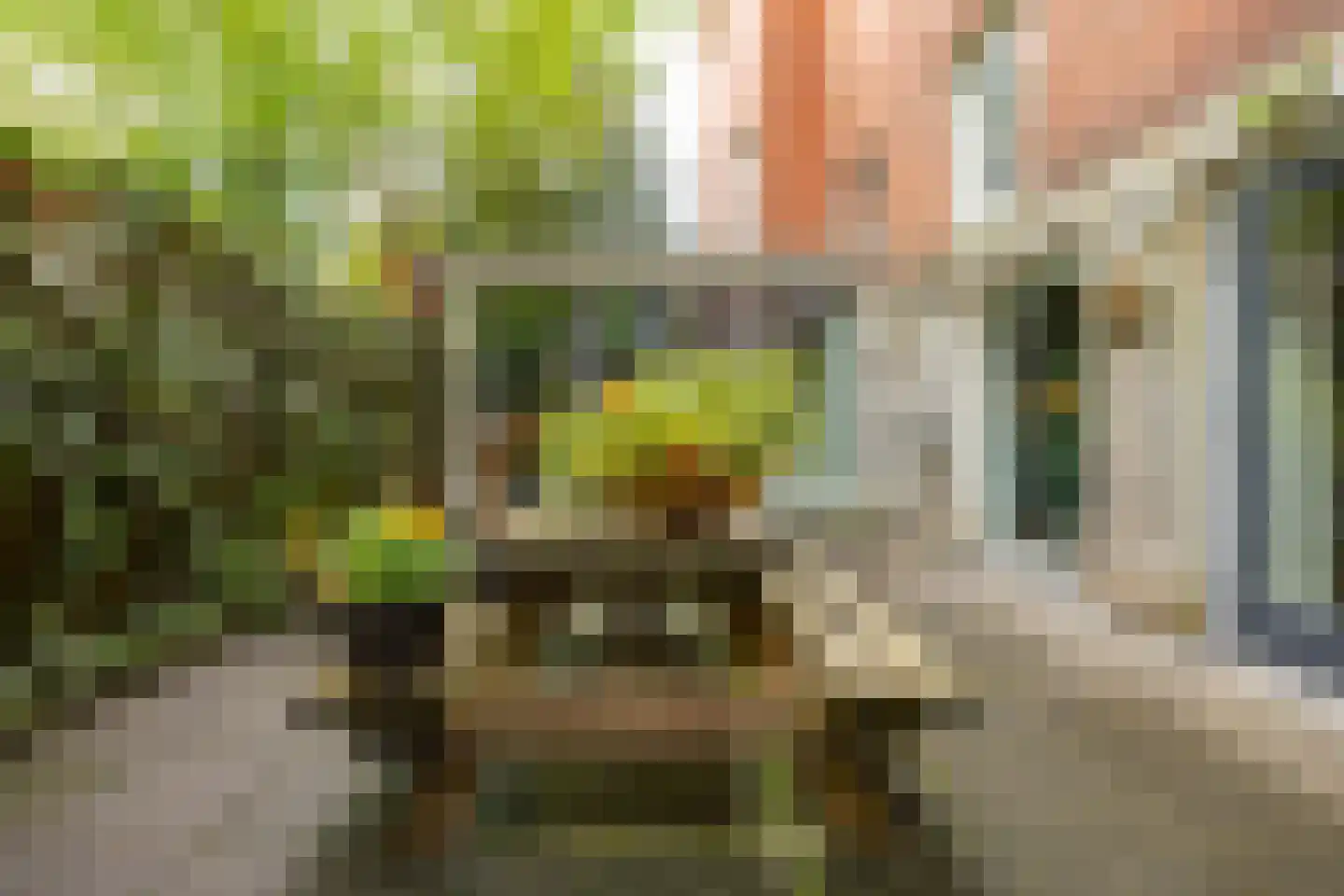 Tuinbouwdwarsstraat 11 c Groningen thumbnail 18