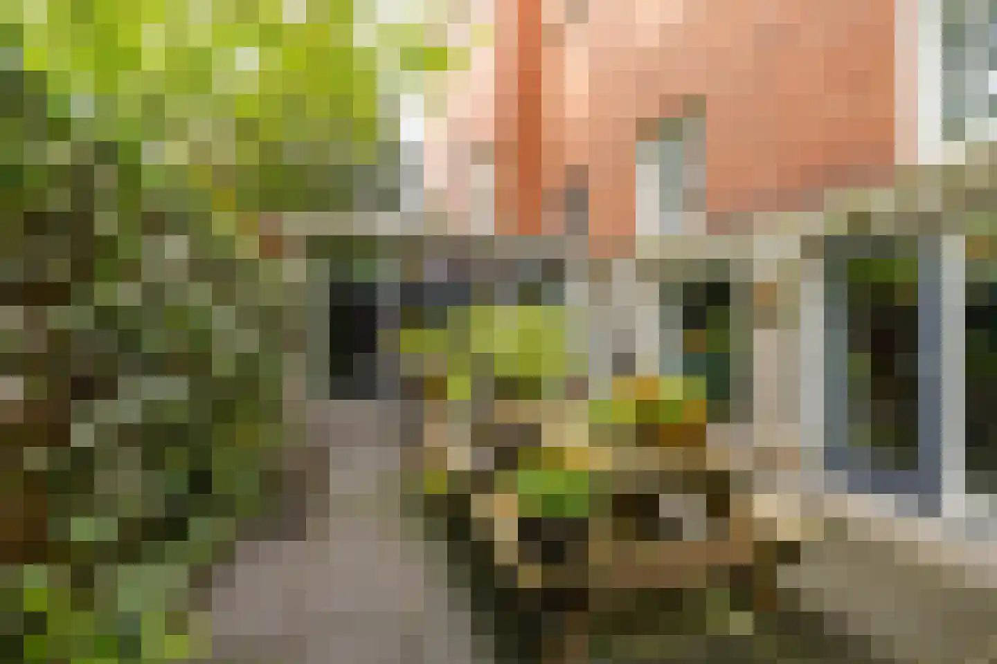Tuinbouwdwarsstraat 11 c Groningen thumbnail 19